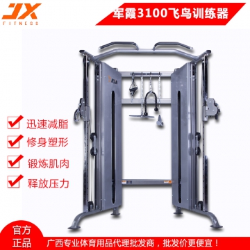 军霞JX-3100小飞鸟综合训练器