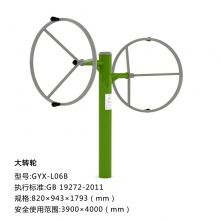 大转轮 新国标户外健身路径