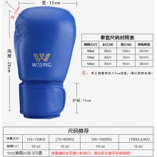 拳击手套（粘扣式）AIBA认证
