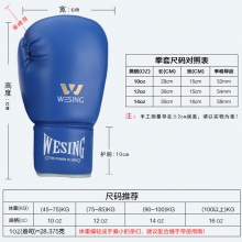 拳击手套标准型系绳式