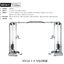 康乐佳大飞鸟训练器K011A-1